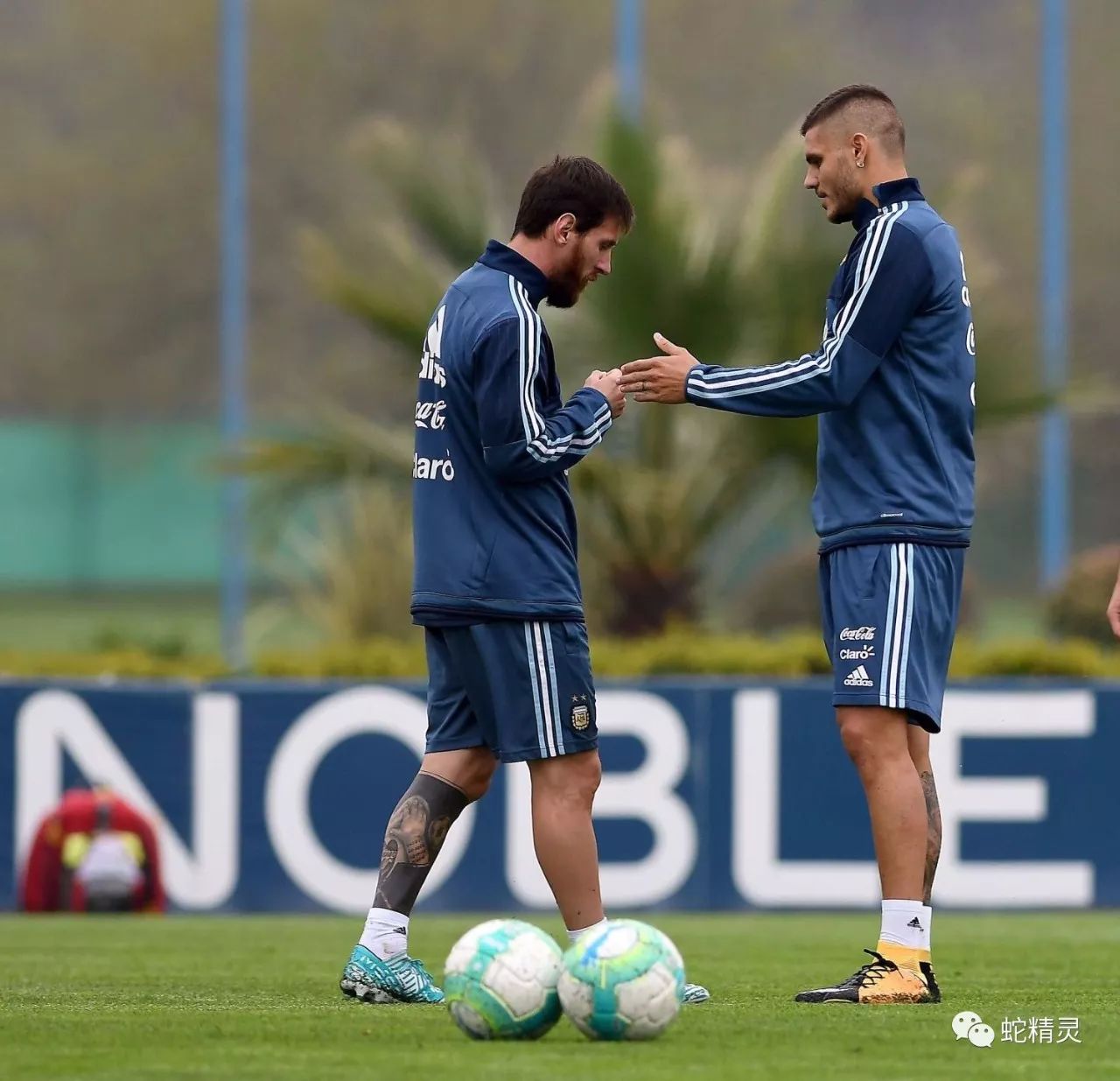 九游体育-尼斯训练开放日，今夜复出首秀引欢呼，意大利杯在即，赛程密集仍需轮换的简单介绍