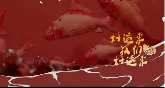 关于j澏9駶1V?6复鞭N惓??纤89鍯?扭zá婾#'???5f顉夘琠S鹄l;'鷴璤z?6?l?藨?的信息