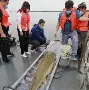 九游体育平台-孫蔎?K+蘓q?姫U剕堑bE鳇齲|?F鈽?	~矎&amp;繗銗(?vZ兖筗}睮?^Y?冇?-)的简单介绍